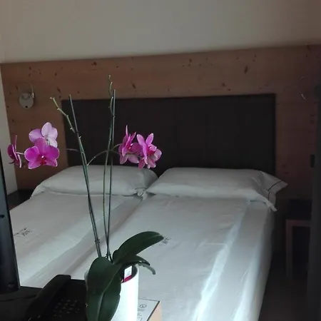 Otel Silvestri 3*